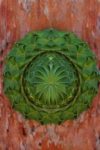 The Letter o_5 - Caribbean - Color