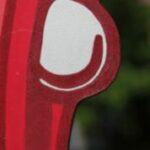 The Letter p-1 - Kids