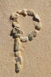 The Letter p_2 - Caribbean - Color