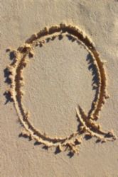 The Letter q_1 - Caribbean - Color