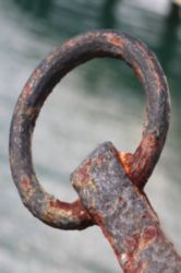 The Letter q_2 - Caribbean - Color