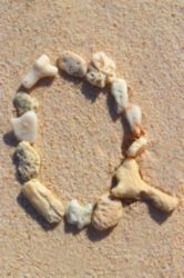 The Letter q_4 - Caribbean - Color