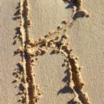 The Letter r_1 - Caribbean - Color