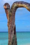 The Letter r_3 - Caribbean - Color