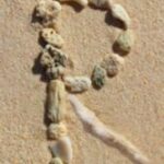 The Letter r_5 - Caribbean - Color
