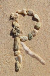 The Letter r_5 - Caribbean - Color