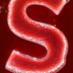 The Letter s-17 - Kids