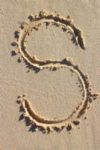 The Letter s_1 - Caribbean - Color