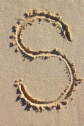 The Letter s_1 - Caribbean - Color
