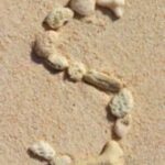 The Letter s_2 - Caribbean - Color