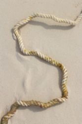 The Letter s_9 - Caribbean - Color