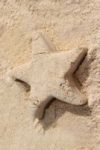 The Letter star_2 - Caribbean - Color