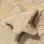 The Letter star_2 - Caribbean - Color