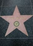 Hollywood Stars - Stevie_Wonder