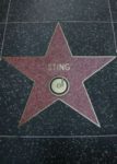Hollywood Stars - Sting