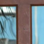 The Letter t_3 - Caribbean - Color