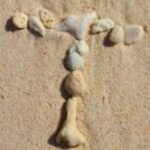 The Letter t_5 - Caribbean - Color