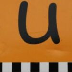 The Letter u_1 - Accent - Color