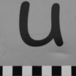 The Letter u_2 - Accent - Black & White