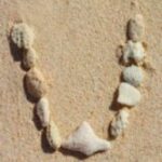 The Letter u_2 - Caribbean - Color