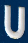 The Letter u_8 - Caribbean - Color