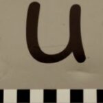 The Letter u_9 - Accent - Sepia Tone