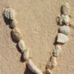 The Letter v_5 - Caribbean - Color