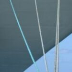 The Letter w_4 - Caribbean - Color