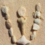 The Letter w_5 - Caribbean - Color