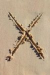 The Letter x_1 - Caribbean - Color