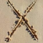 The Letter x_1 - Caribbean - Color