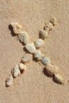 The Letter x_2 - Caribbean - Color