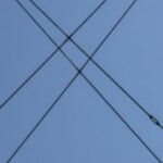 The Letter x-4 - Kids