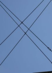 The Letter x-4 - Kids