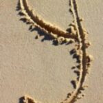 The Letter y_1 - Caribbean - Color