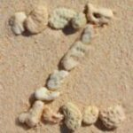 The Letter z_3 - Caribbean - Color