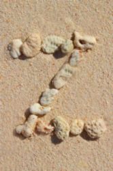 The Letter z_3 - Caribbean - Color