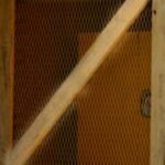 The Letter z_5 - Caribbean - Color