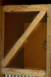 The Letter z_5 - Caribbean - Color