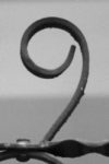 The Letter 9_11 - London - Black & White