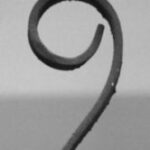 The Letter 9_11 - London - Black & White