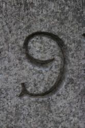 The Letter 9 - NYC - Color