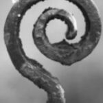 The Symbol @ - Black & White - A&S