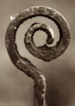 The Symbol @ - Sepia Tone - A&S