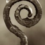 The Symbol @ - Sepia Tone - A&S