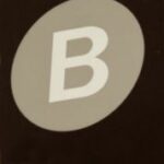 The Letter b_2 - NYC - Sepia Tone