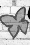 The Symbol butterfly - Black & White - A&S