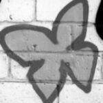 The Symbol butterfly - Black & White - A&S