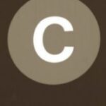 The Letter c_13 - NYC - Sepia Tone