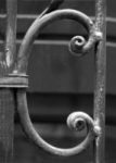 The Letter c_2 - NYC - Black & White